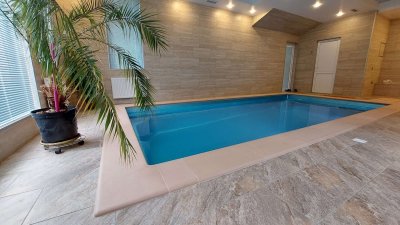 Композитный бассейн в помещении с каменной облицовкой и комнатным растением